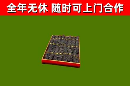 沙坪坝回收海参